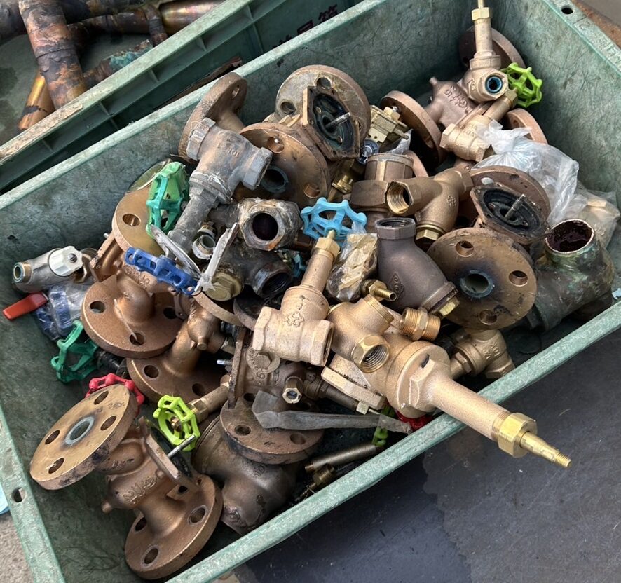 込真中③（ダスト10％以内）